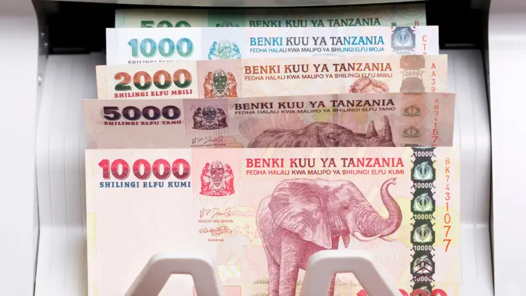 money and currency in Tanzania