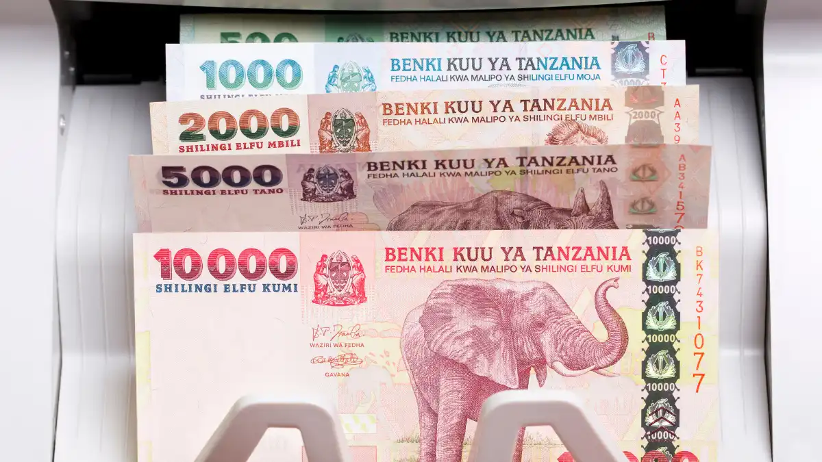 money and currency in Tanzania